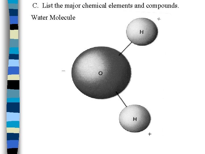 C. List the major chemical elements and compounds. Water Molecule 