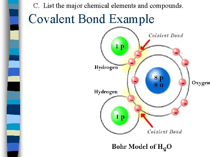 C. List the major chemical elements and compounds. Covalent Bond Example 