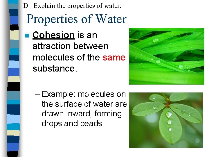 D. Explain the properties of water. Properties of Water n Cohesion is an attraction