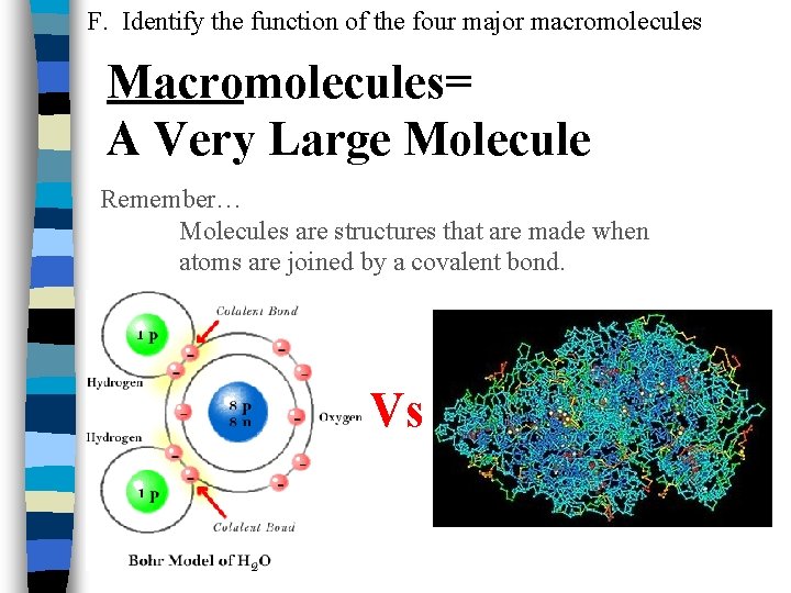 F. Identify the function of the four major macromolecules Macromolecules= A Very Large Molecule
