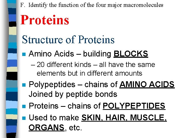 F. Identify the function of the four major macromolecules Proteins Structure of Proteins n