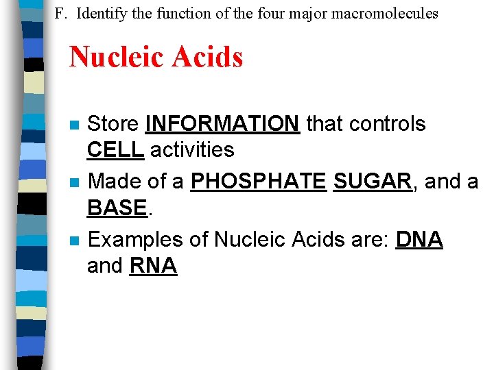 F. Identify the function of the four major macromolecules Nucleic Acids n n n