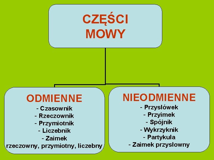 CZĘŚCI MOWY ODMIENNE - Czasownik - Rzeczownik - Przymiotnik - Liczebnik - Zaimek rzeczowny,