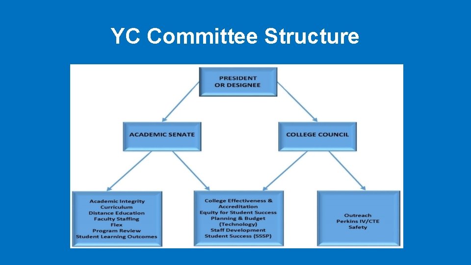 YC Committee Structure 