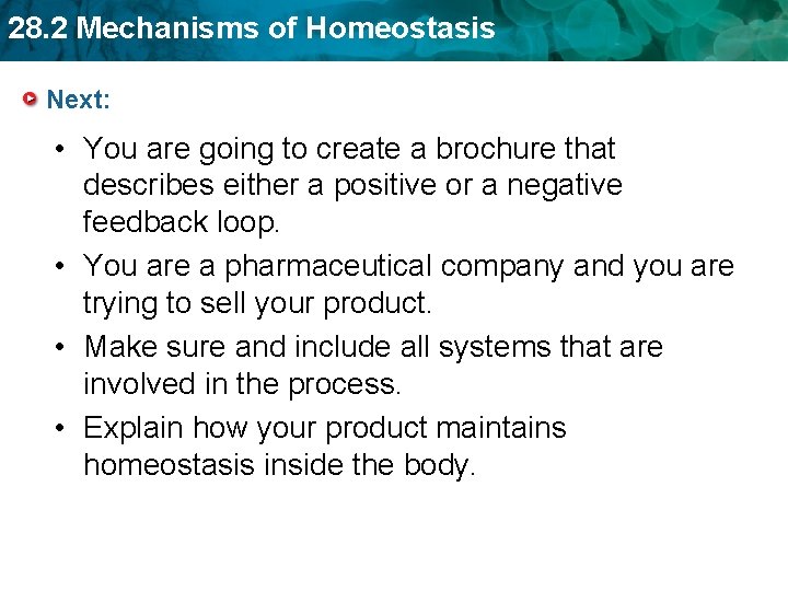 28. 2 Mechanisms of Homeostasis Next: • You are going to create a brochure