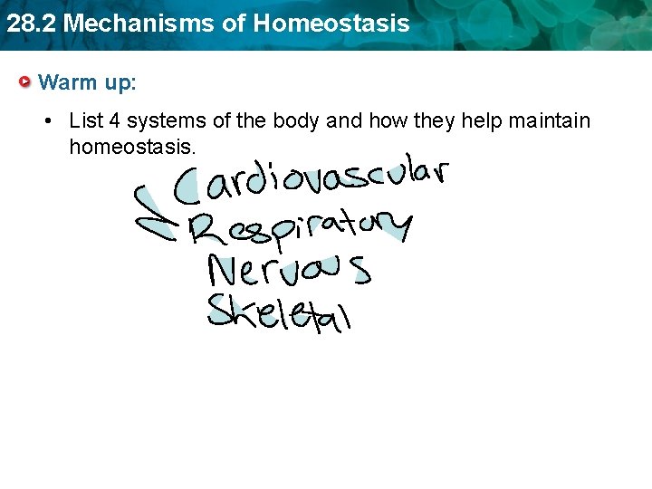 28. 2 Mechanisms of Homeostasis Warm up: • List 4 systems of the body