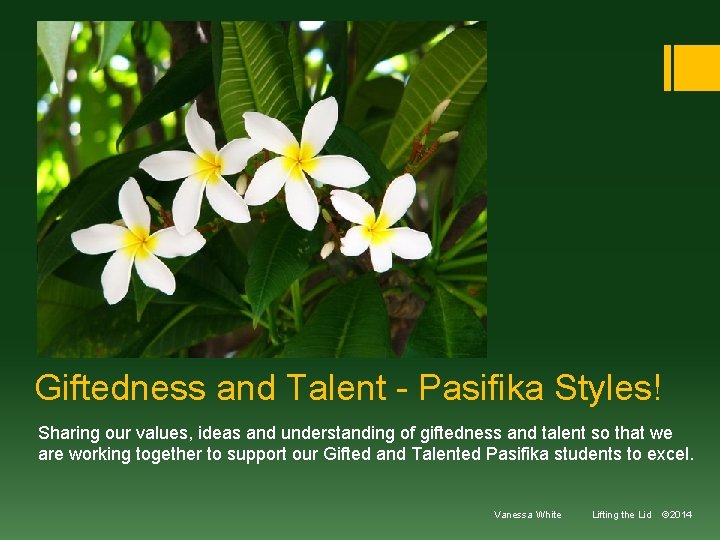 Giftedness and Talent - Pasifika Styles! Sharing our values, ideas and understanding of giftedness