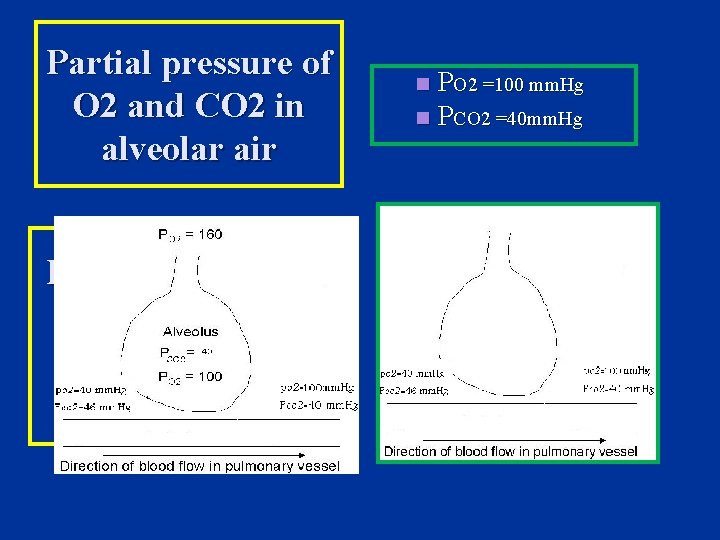 Partial pressure of O 2 and CO 2 in alveolar air Partial pressure of