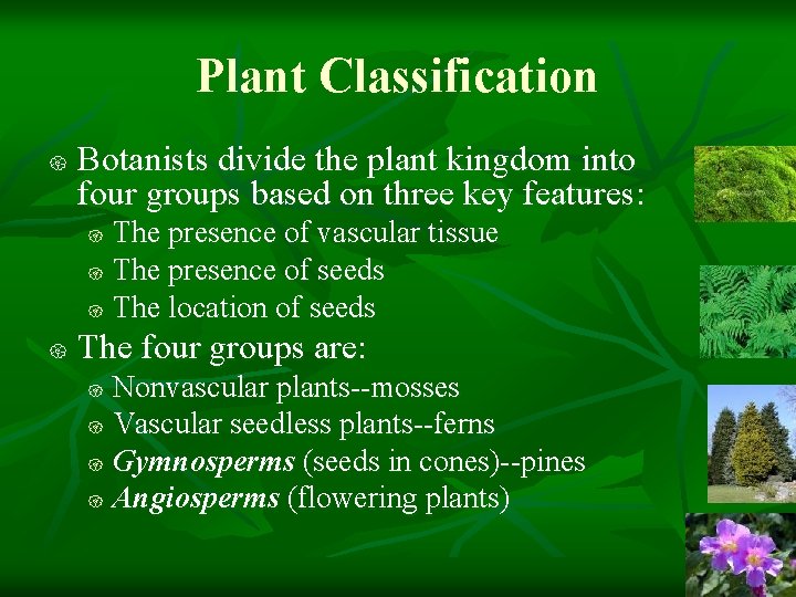 Plant Classification { Botanists divide the plant kingdom into four groups based on three