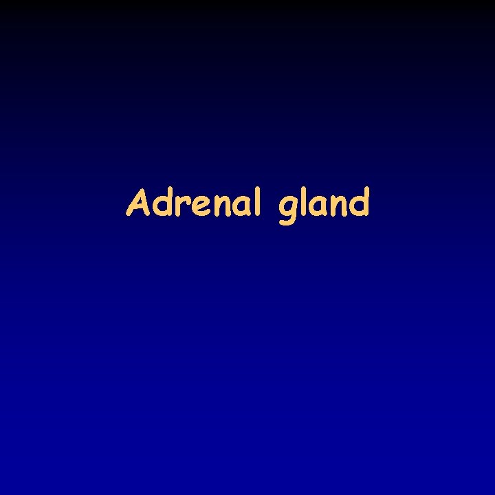 Adrenal gland 