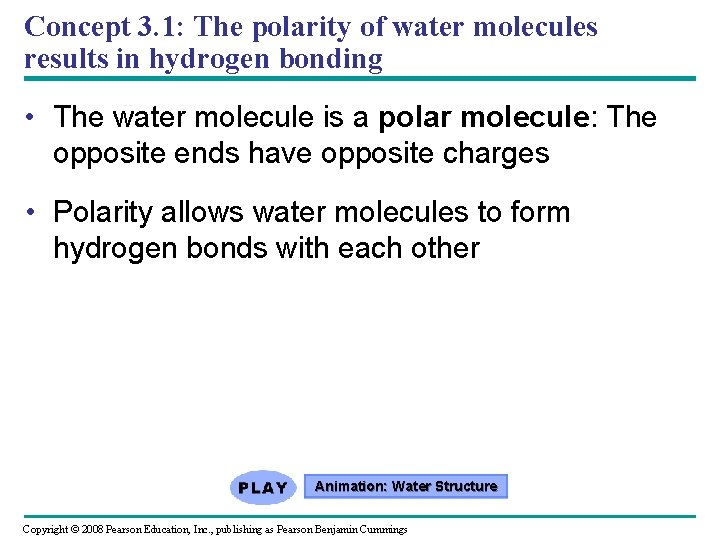 Concept 3. 1: The polarity of water molecules results in hydrogen bonding • The