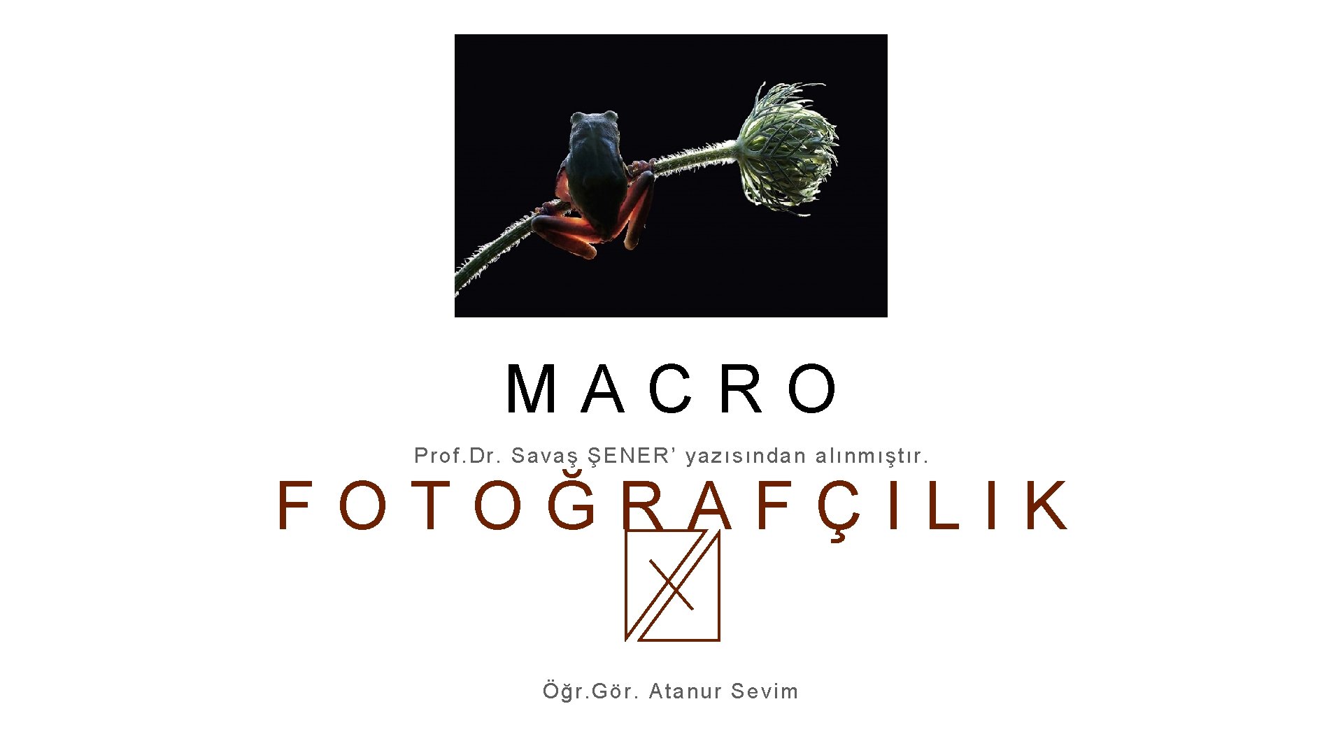 MACRO Prof. Dr. Sava ş ŞEN ER’ yazısı ndan alınmıştır. FOTOĞRAFÇILIK Öğr. Gö r.