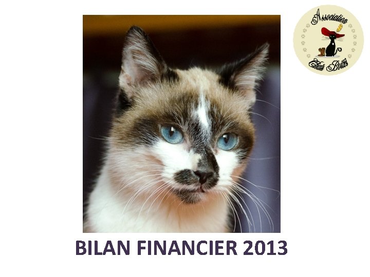 BILAN FINANCIER 2013 