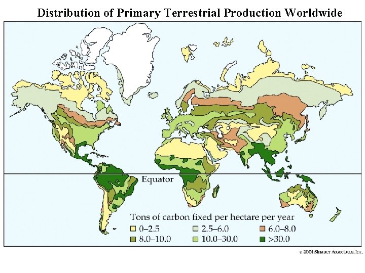 Distribution of Primary Terrestrial Production Worldwide Figure 56. 5 