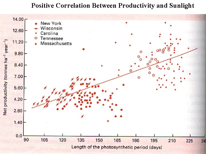 Positive Correlation Between Productivity and Sunlight 