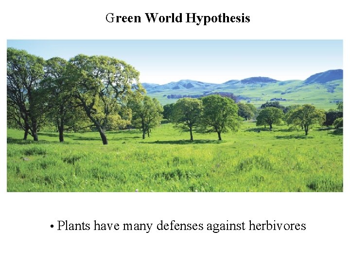 Green World Hypothesis • Plants have many defenses against herbivores 