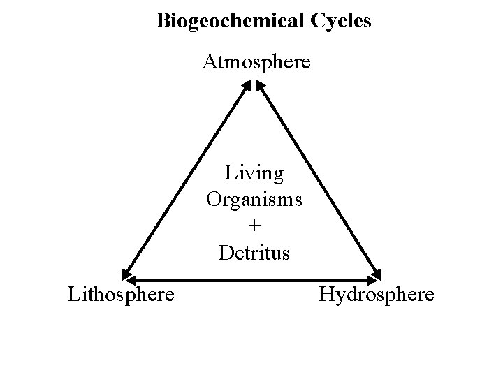 Biogeochemical Cycles Atmosphere Living Organisms + Detritus Lithosphere Hydrosphere 