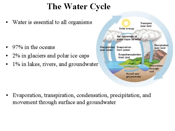 The Water Cycle • Water is essential to all organisms • 97% in the