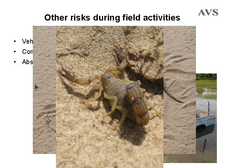 Other risks during field activities • Vehicle breakdown or accident • Communications failure •