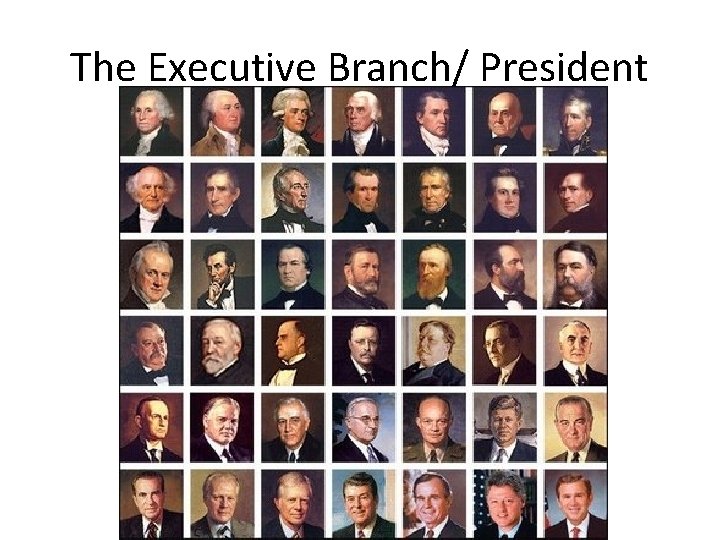 The Executive Branch/ President 