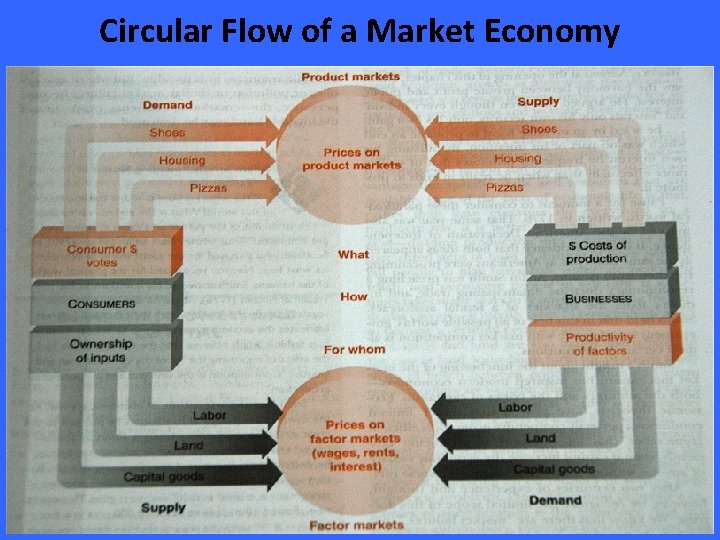 Circular Flow of a Market Economy 