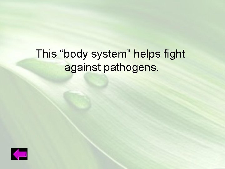 This “body system” helps fight against pathogens. 