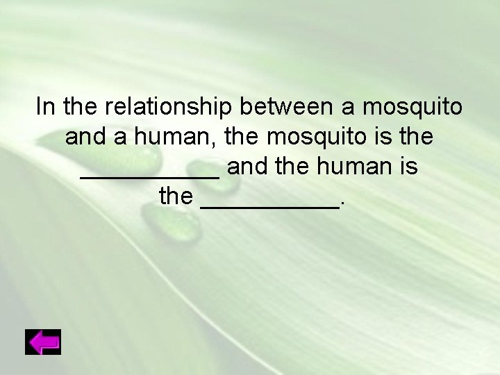 In the relationship between a mosquito and a human, the mosquito is the _____
