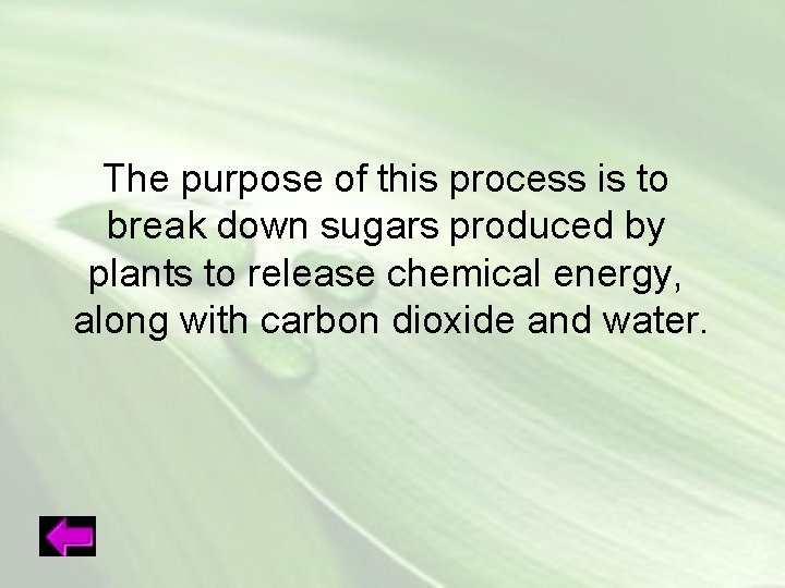 The purpose of this process is to break down sugars produced by plants to