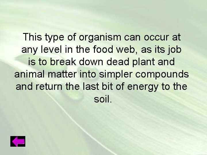 This type of organism can occur at any level in the food web, as