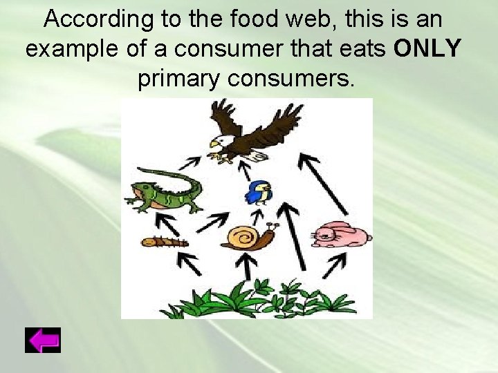 According to the food web, this is an example of a consumer that eats