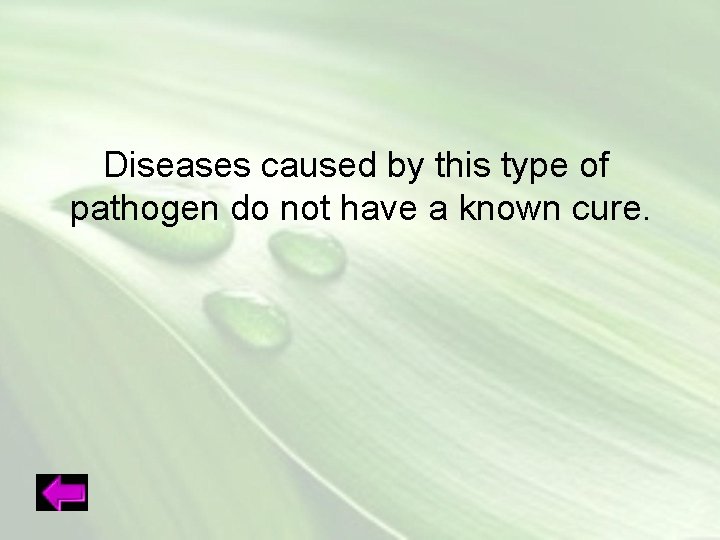 Diseases caused by this type of pathogen do not have a known cure. 