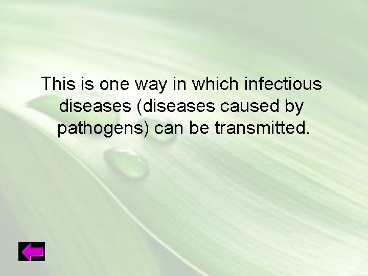 This is one way in which infectious diseases (diseases caused by pathogens) can be