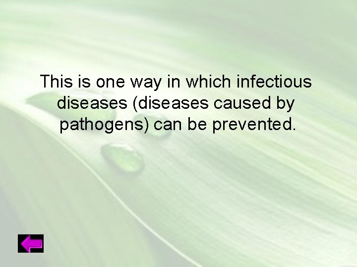 This is one way in which infectious diseases (diseases caused by pathogens) can be