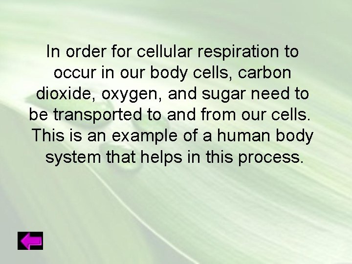 In order for cellular respiration to occur in our body cells, carbon dioxide, oxygen,