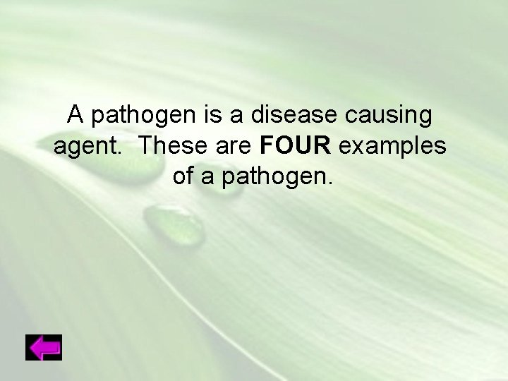 A pathogen is a disease causing agent. These are FOUR examples of a pathogen.