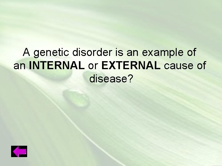 A genetic disorder is an example of an INTERNAL or EXTERNAL cause of disease?