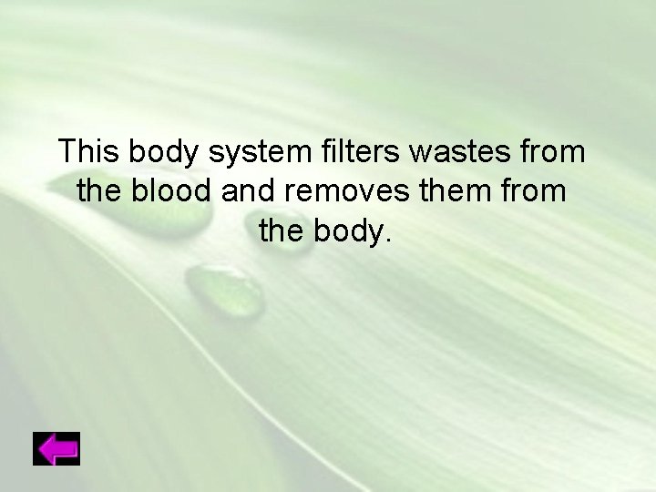 This body system filters wastes from the blood and removes them from the body.