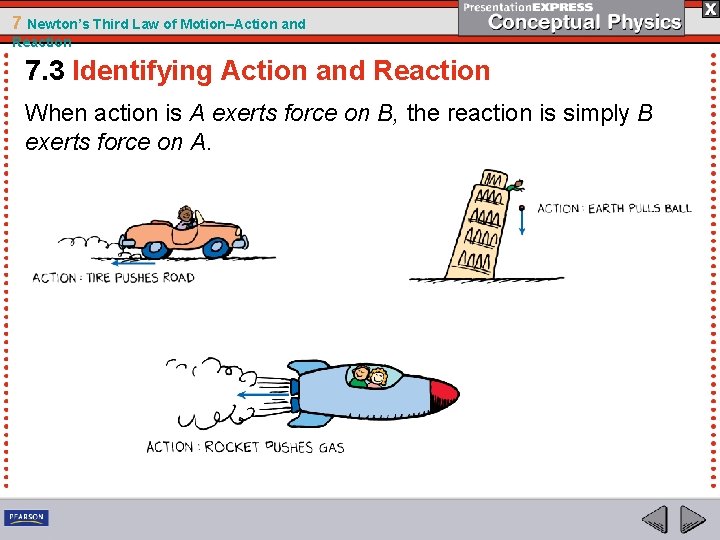 7 Newton’s Third Law of Motion–Action and Reaction 7. 3 Identifying Action and Reaction