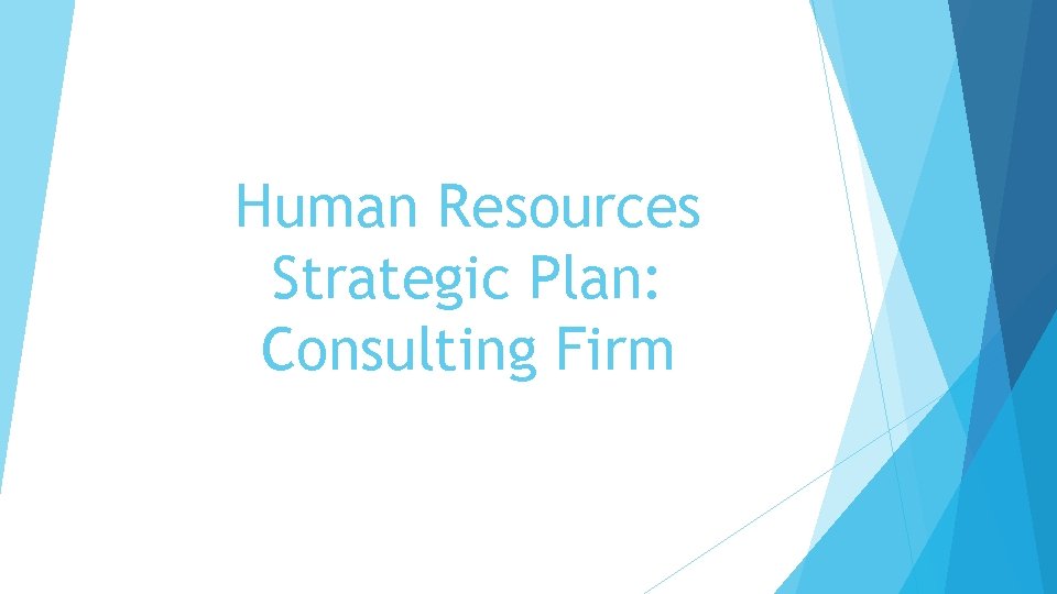 Human Resources Strategic Plan: Consulting Firm 