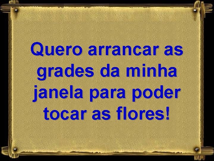 Quero arrancar as grades da minha janela para poder tocar as flores! 