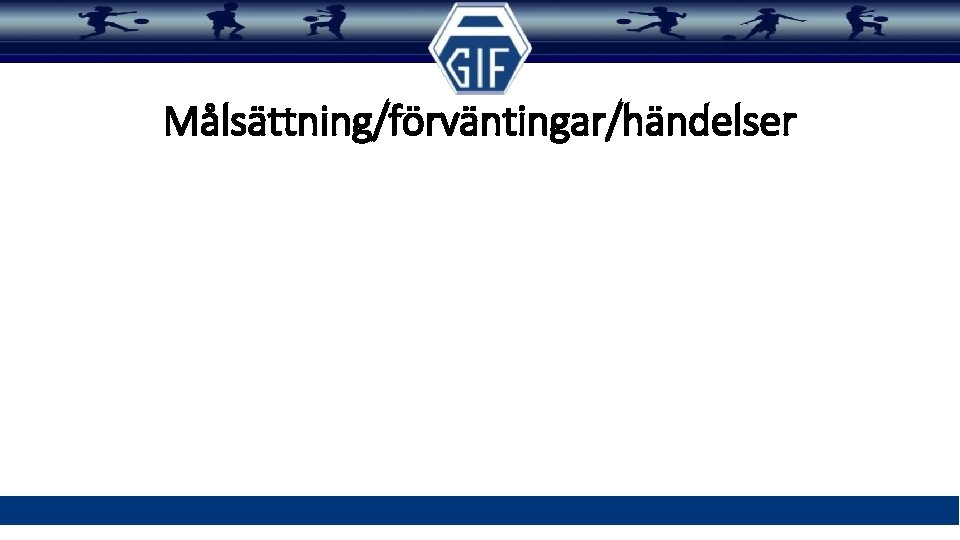 Målsättning/förväntingar/händelser 