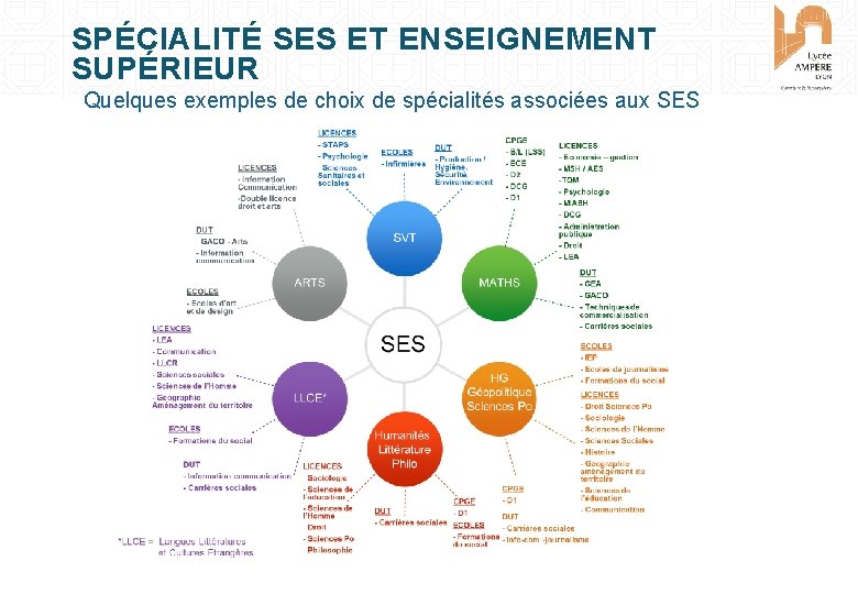 SPÉCIALITÉ SES ET ENSEIGNEMENT SUPÉRIEUR Quelques exemples de choix de spécialités associées aux SES