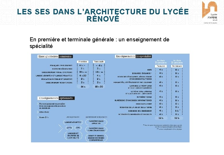 LES SES DANS L’ARCHITECTURE DU LYCÉE RÉNOVÉ En première et terminale générale : un