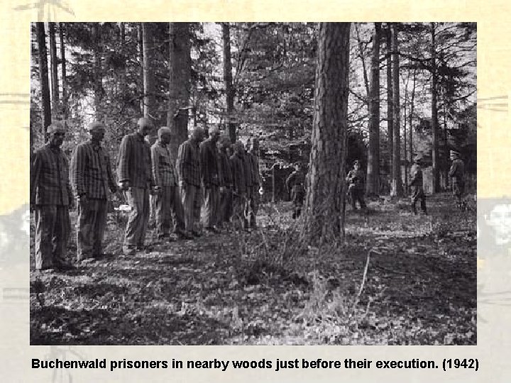 Buchenwald prisoners in nearby woods just before their execution. (1942) 