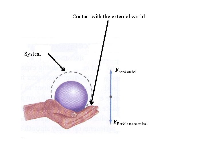 Contact with the external world System Fhand on ball FEarth’s mass on ball 