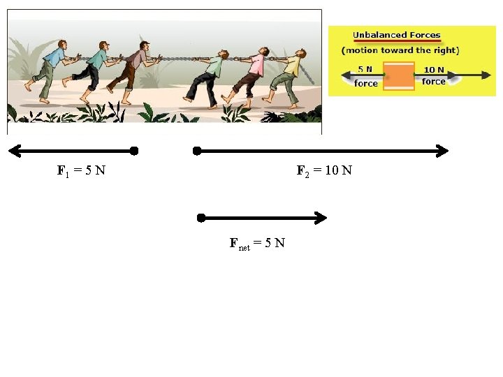 F 2 = 10 N F 1 = 5 N Fnet = 5 N