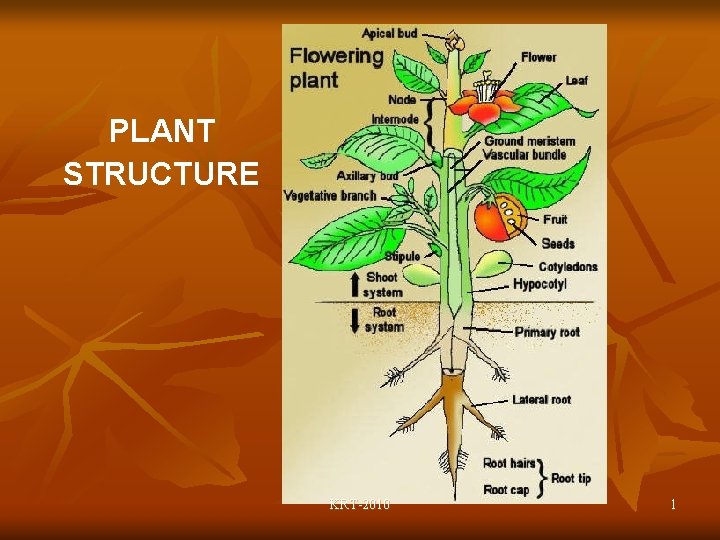 PLANT STRUCTURE KRT-2010 1 