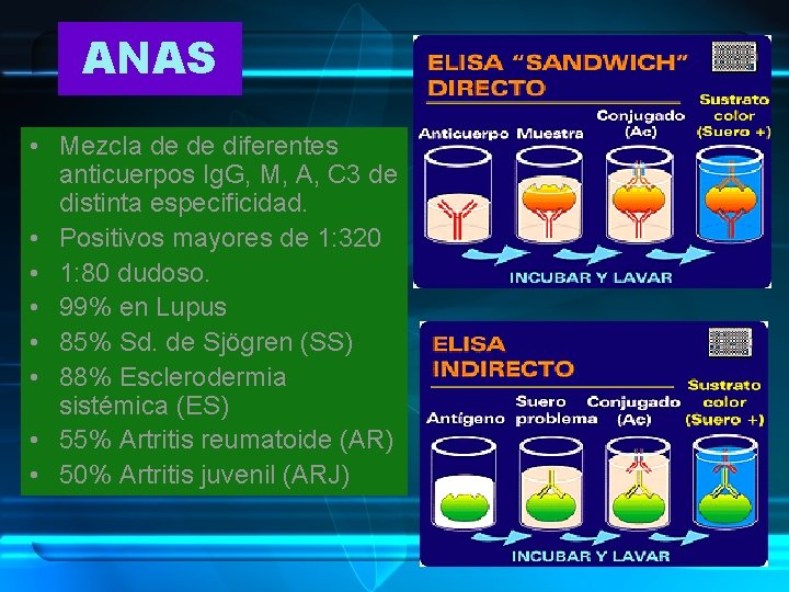 ANAS • Mezcla de de diferentes anticuerpos Ig. G, M, A, C 3 de