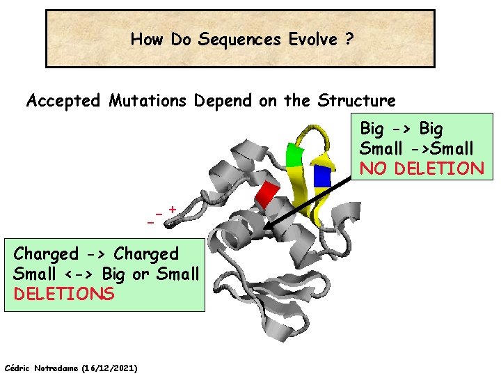 How Do Sequences Evolve ? Accepted Mutations Depend on the Structure Big -> Big