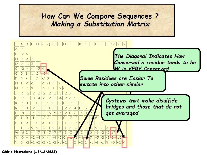 How Can We Compare Sequences ? Making a Substitution Matrix The Diagonal Indicates How